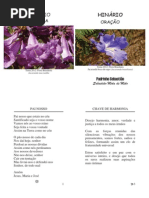 Hinario de Cura - Impares