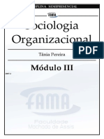 sociologia_organizacional2_md3