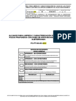 ALCANCE PARA Caracterización de Pozos