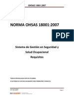 NORMA OHSAS 18001 07 Interpretacion