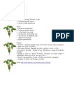 Pao PDF