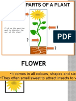 parts of plant quiz