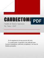Caudectomia
