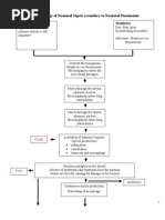 Download Pathophysiology of Neonatal Sepsis secondary to Neonatal Pneumonia by paul andrew laranjo asuncion SN26468315 doc pdf