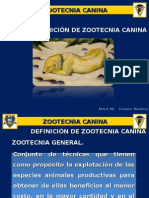 Definición de Zootecnia Canina