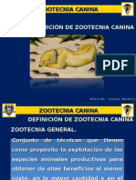 Zootecnia canina: definición y bases de la industria