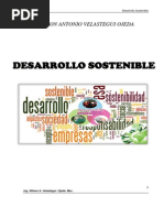  Desarrollo Sostenible 