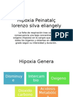 Hipoxia Peinatal
