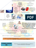 Las Implicaciones de La Conectividad Cerebral en La