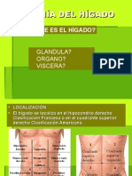 Anatomia Del Higado