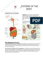 Systems of The Body (Digestive)