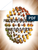Metabolismo 100125092402 Phpapp02