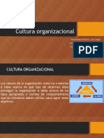 Cultura Organizacional