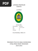 Download Laporan Praktikum Uji Iodium by Scorpyo Ainun Schulerindetektive Al-Bikel SN264716447 doc pdf