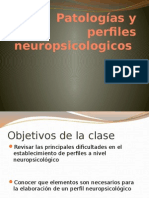 Patologias y Perfiles Neuropsicologicos