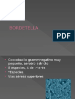 Bordetella Pertussis Diap