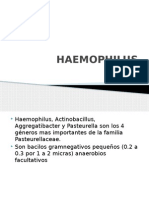 Haemophilus Presentacion Diap