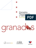 44529052-Estudio-de-Granada (1).pdf