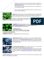 ETS causas síntomas prevención