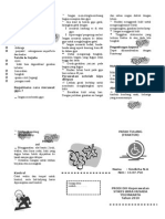 Leaflet Fraktur