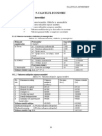 Capitolul 9 Calc Economic