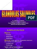 GL Salivales