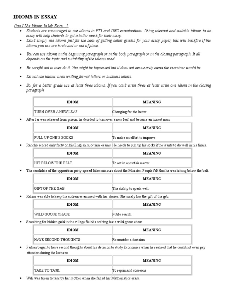 Idioms In Essay Pdf Idiom Essays