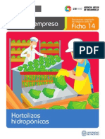 ficha-extendida-14-hortalizas-hidroponicas.pdf