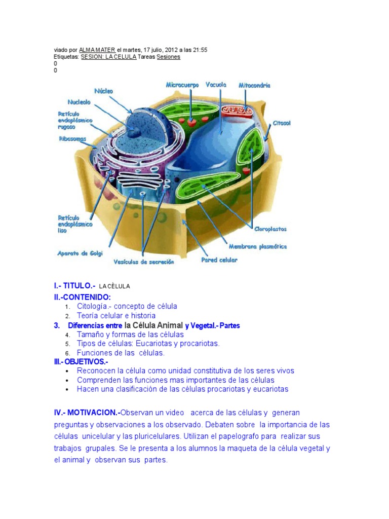 Estructura y Tipos de Células | PDF | Citoplasma | Nucleo celular