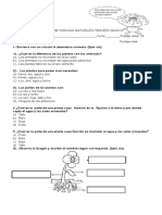 Prueba de Ciencias Naturales Tercero Basico