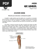 020 - Anatomy Book - Músculos Do Quadril