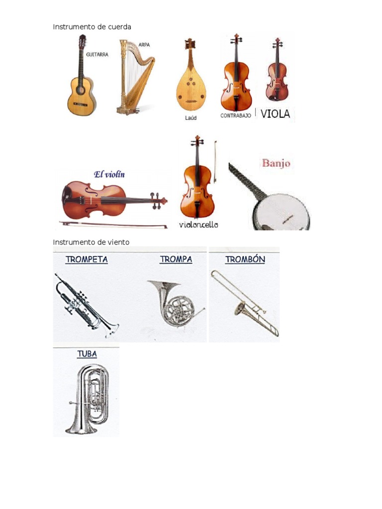 Instrumentos Percusion, Cuerda, Viento | PDF | Instrumentos musicales | Tecnología musical