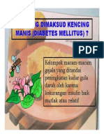 Power Point Dietdiabetesmelitus1