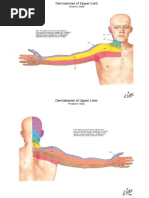 Counterstrain Tenderpoints Guide | PDF | Vertebra | Ankle