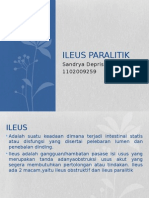 Ileus Paralitik