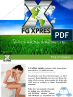 FGXPress English Presentation