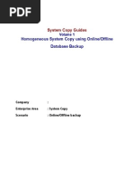 Homogeneous System Copy Using Online/Offline Database Backup