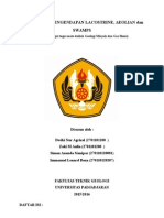 TUGAS GEOMIGAS Lingkungan Pengendapan Lacostrine Aeolian Dan Swamps