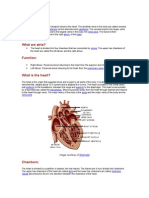 Vena, Arteri ,Dll