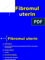 Fibromul