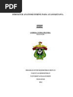 Download Sistem Respirasi by febrydwi148 SN264825332 doc pdf