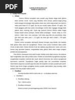 Download LP DM by Rirind SN264825617 doc pdf