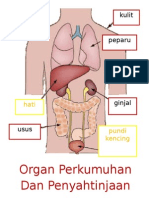 Organ Perkumuhan Dan Penyahtinjaan