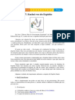 Enchei Vos Do Espírito PDF