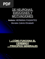 De Neuronas, Emociones y Motivaciones