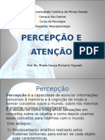 Percepção e Atenção - Funcionamento Normal