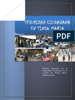 Seguridad Ciudadana 