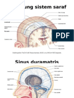 Pelindung Sistem Saraf Isa