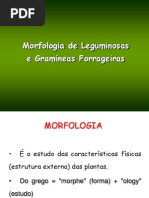 Morfologiapastagens.pdf