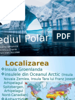 Mediul Polar
